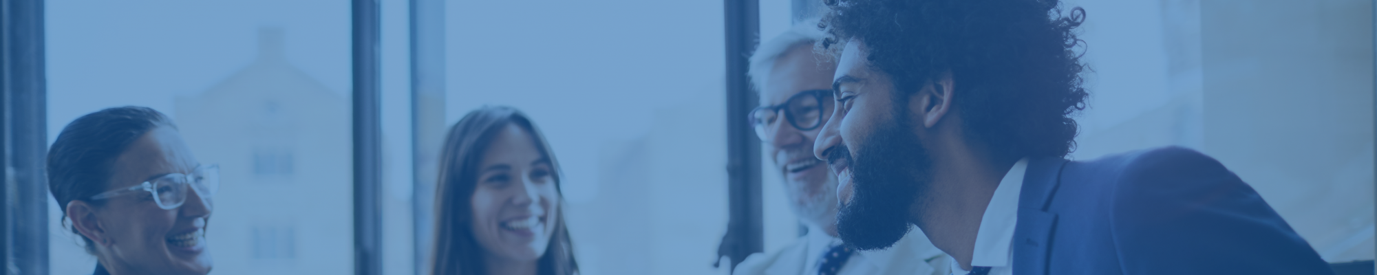 NetSuite Consulting